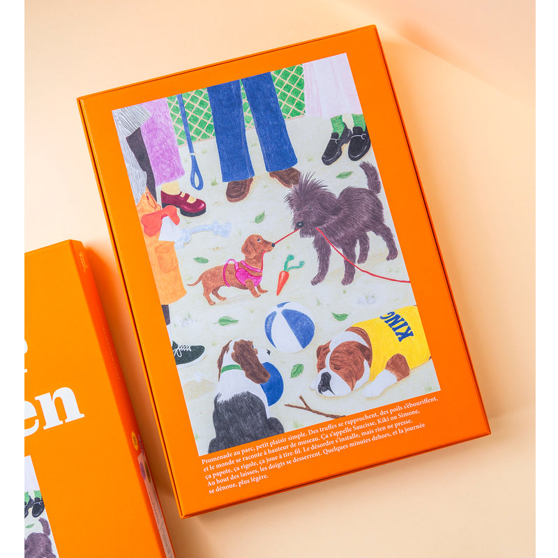 Puzzle - Sortir le chien 🐶