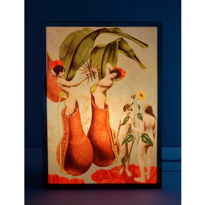 Caja de luz A4 - "Renacimiento" de El Lucernario