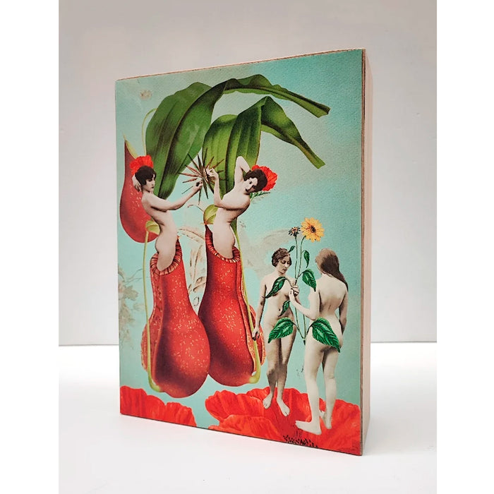 Caja de luz A4 - "Renacimiento" de El Lucernario