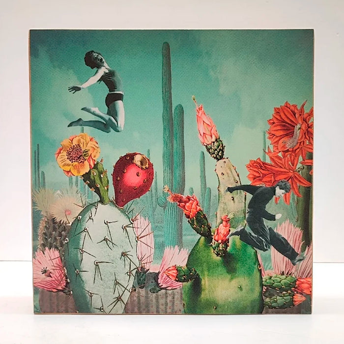 Caja de luz - "Saltadores de cactus" de El Lucernario