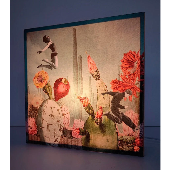 Caja de luz - "Saltadores de cactus" de El Lucernario