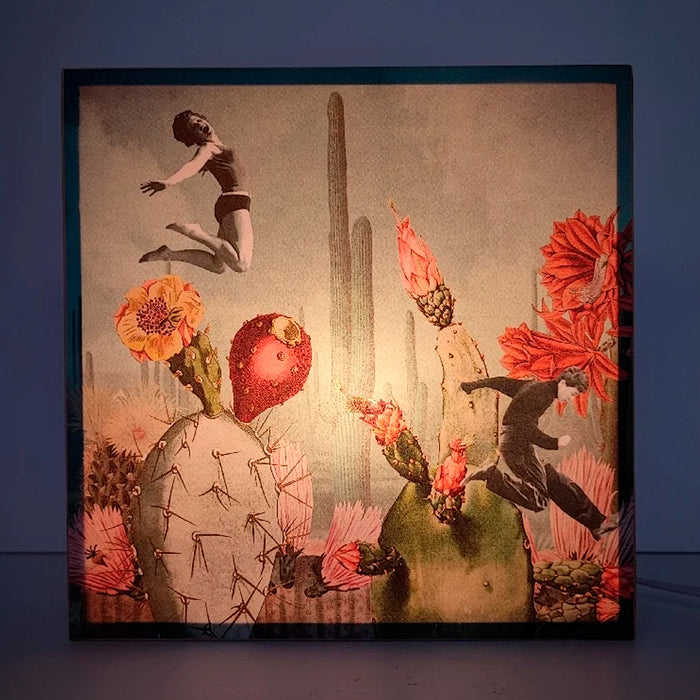 Caja de luz - "Saltadores de cactus" de El Lucernario