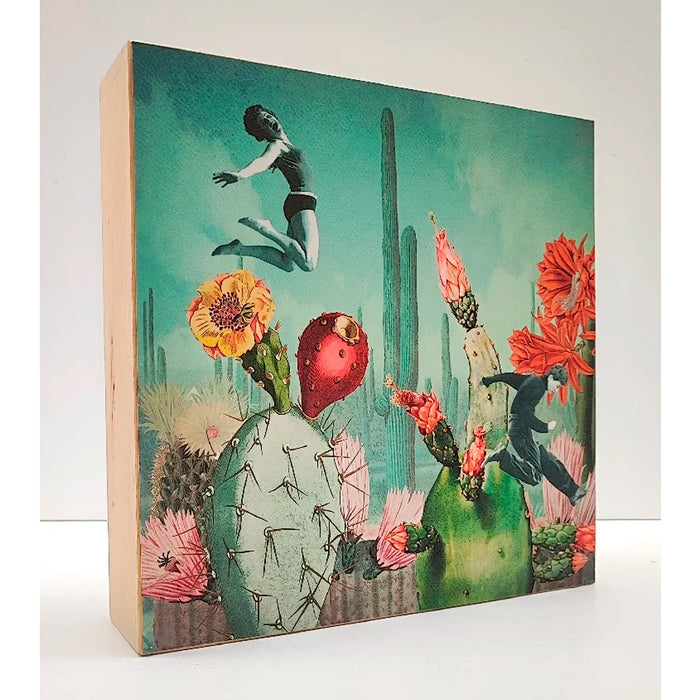 Caja de luz - "Saltadores de cactus" de El Lucernario