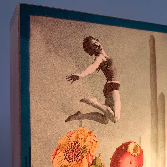 Caja de luz - "Saltadores de cactus" de El Lucernario