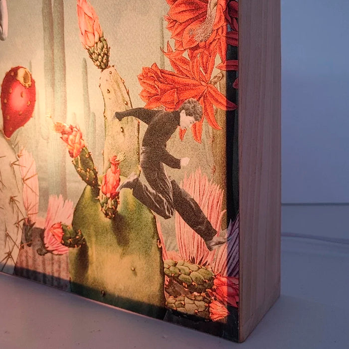 Caja de luz - "Saltadores de cactus" de El Lucernario