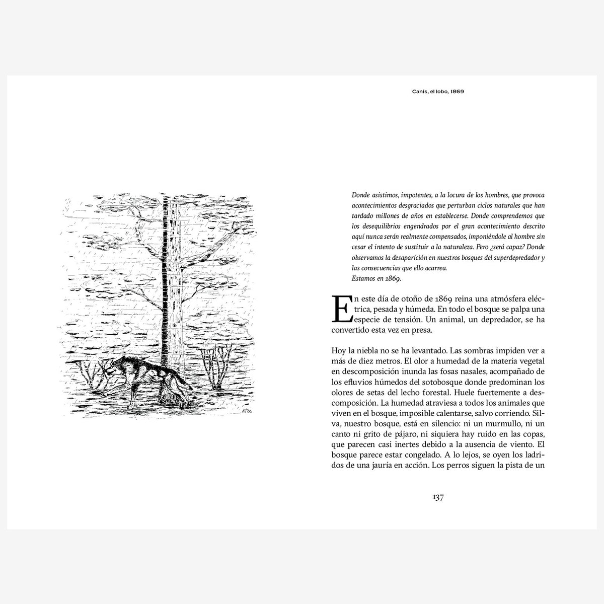 Libro - "Ser un roble, La fascinante historia bajo la corteza de Quercus" de Laurent Tillon