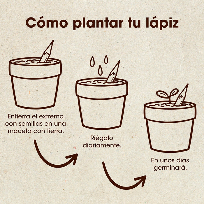 Set de 5 lápices plantables ✏️🌱