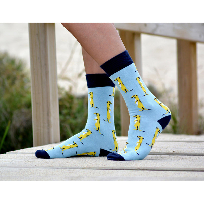 Calcetines - Suricato Azul