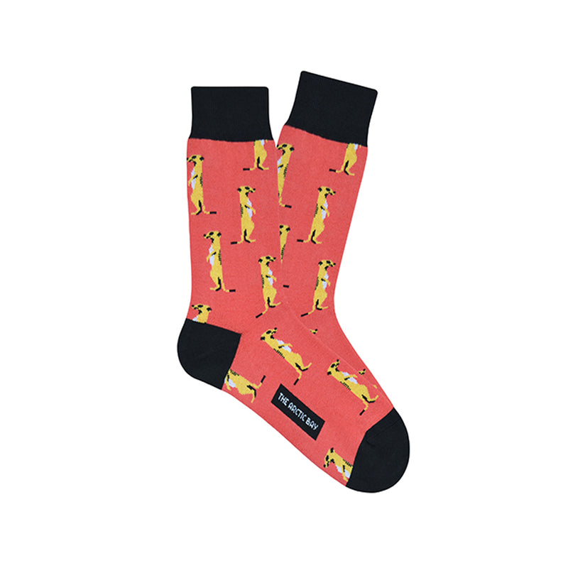 Calcetines - Suricato Coral