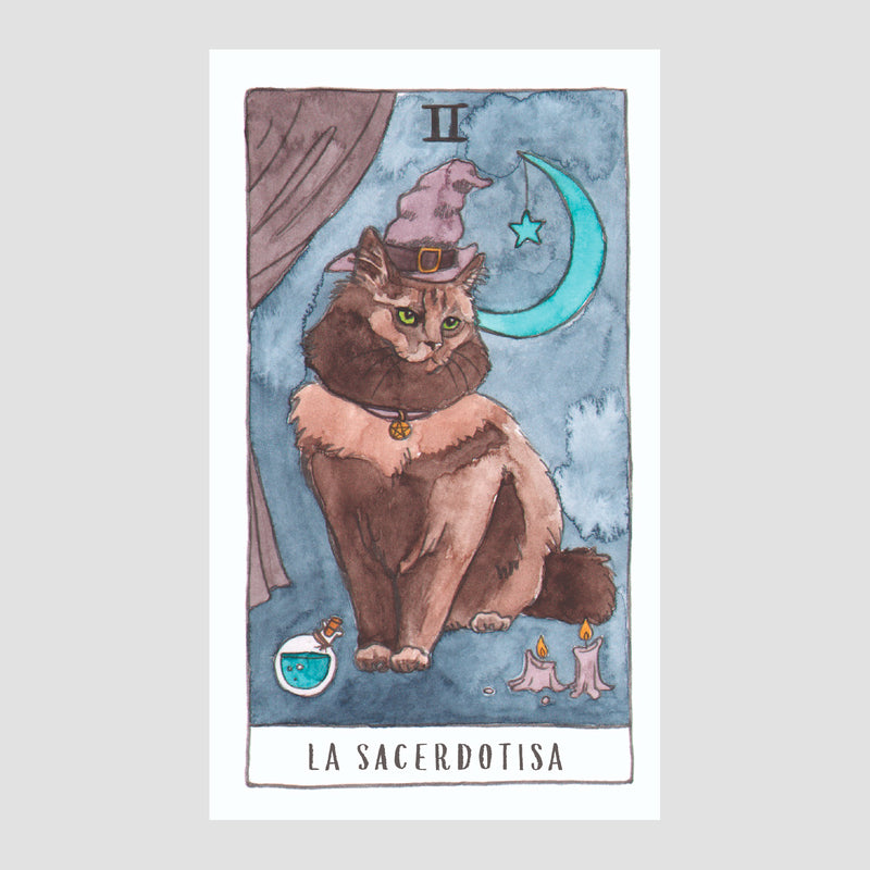 Baraja de Tarot - "El Tarot de los Gatos" de Julia Smillie y Megan Lynn Kott