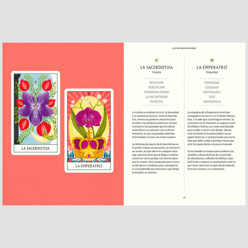 Baraja de Tarot - "Tarot floral" de Diana McMahon Collis