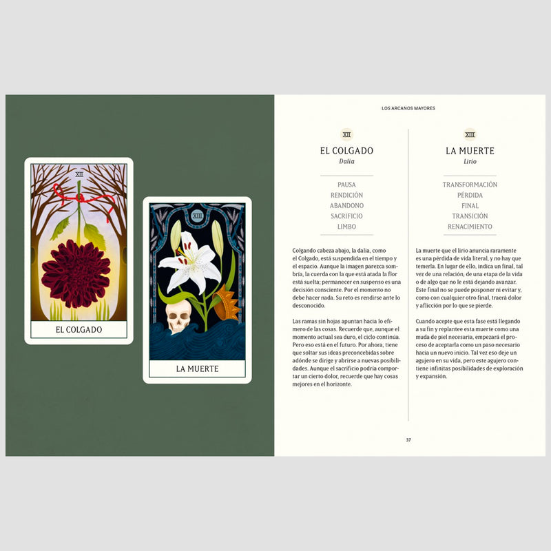 Baraja de Tarot - "Tarot floral" de Diana McMahon Collis