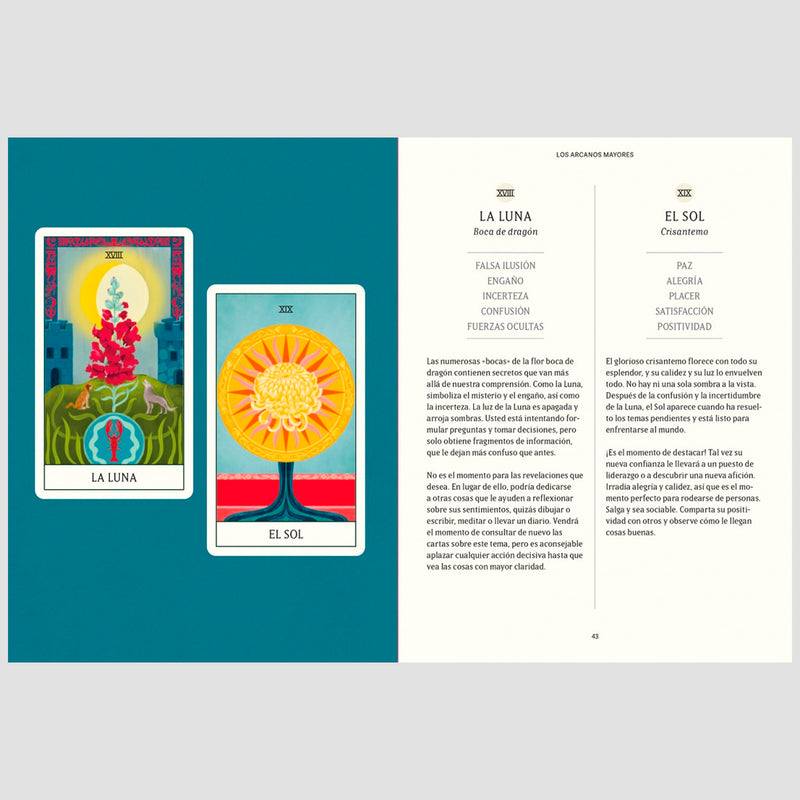 Baraja de Tarot - "Tarot floral" de Diana McMahon Collis