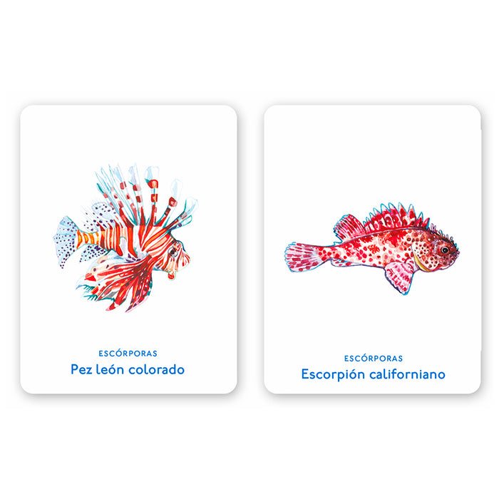 Juego de memoria - "Un mar de animales" 🐡🐙