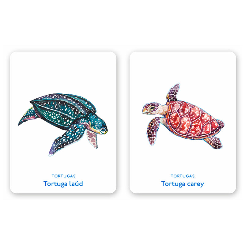 Juego de memoria - "Un mar de animales" 🐡🐙