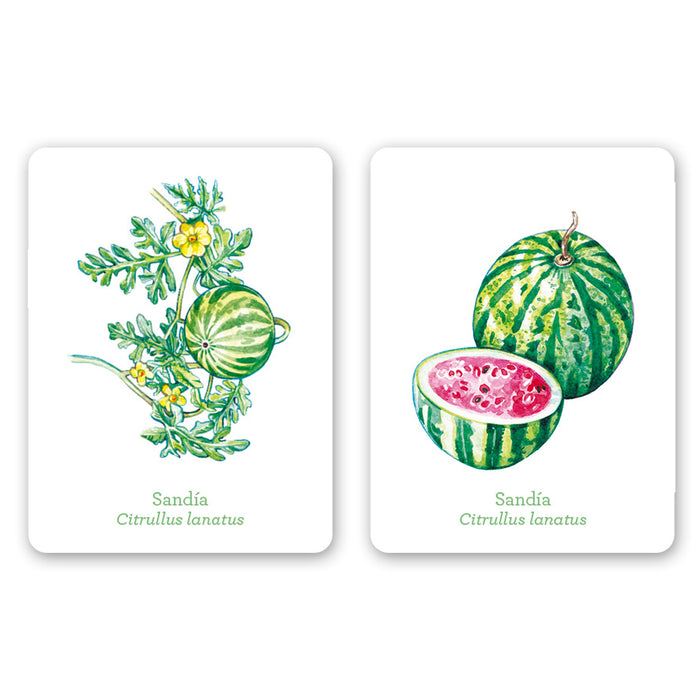 Juego de memoria - "Una planta, un fruto" 🌳🍎