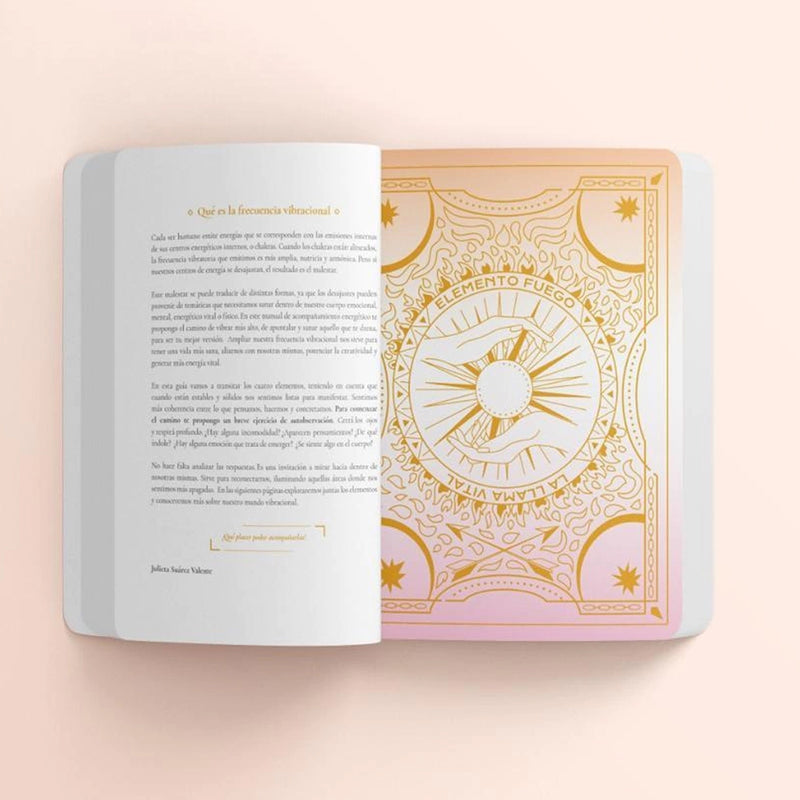 Libro - "Vibrar Alto" de Julieta Suárez Valente y Belén Rigou