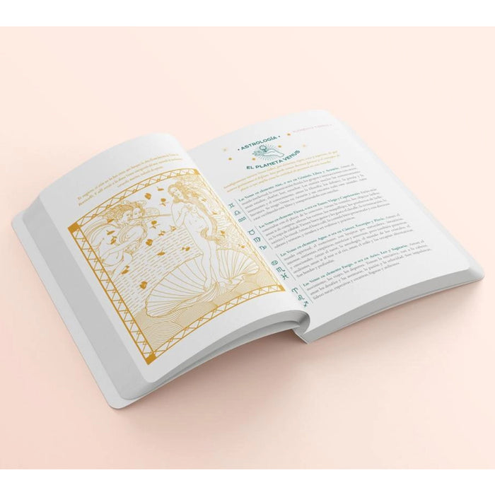 Libro - "Vibrar Alto" de Julieta Suárez Valente y Belén Rigou