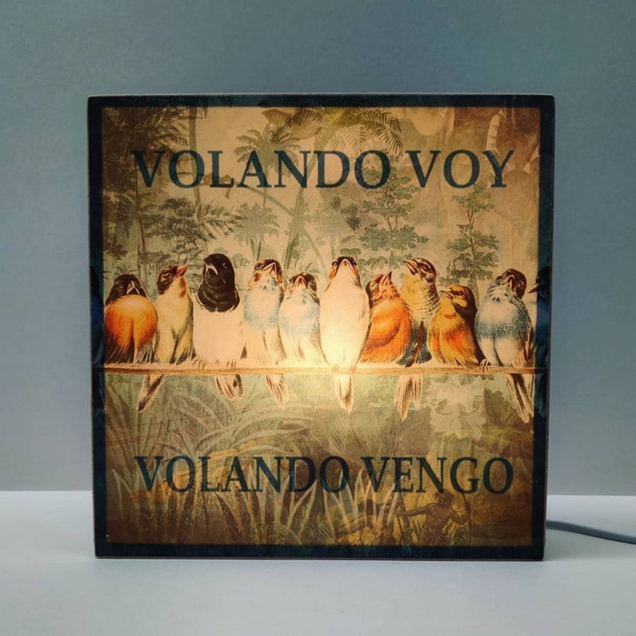 Caja de luz - "Volando voy, volando vengo" de El Lucernario