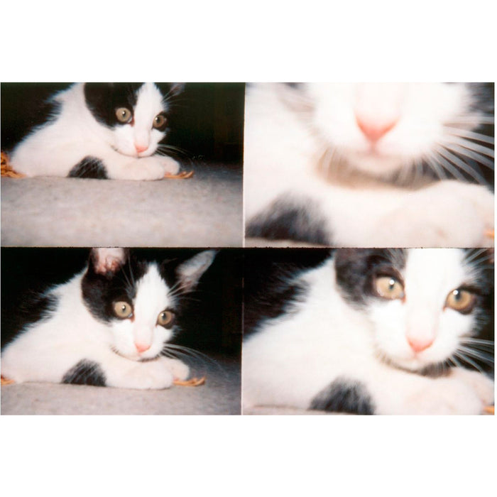 Cámara Lomography - ActionSampler Clear