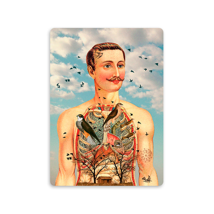 Postal - "Atrapa pájaros"