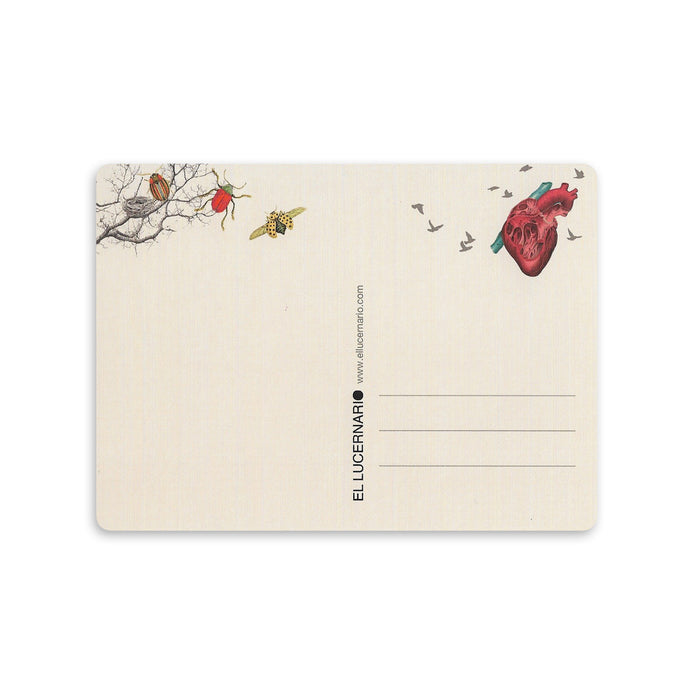 Postal - "Atrapa pájaros"