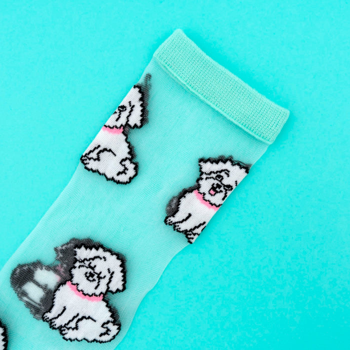 Calcetines transparentes - Bichón