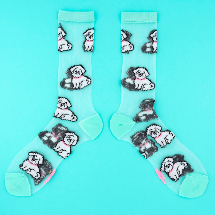 Calcetines transparentes - Bichón