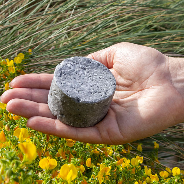 Champú sólido para cabello graso