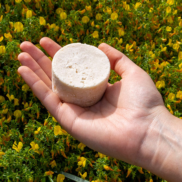 Champú sólido para cabello normal