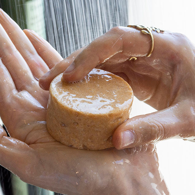 Champú sólido para cabello seco