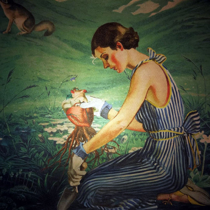 Caja de luz - "Autocultivo" de El Lucernario