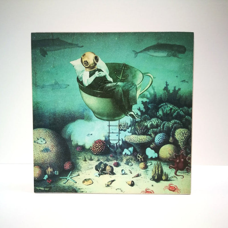 Caja de luz - "Gran Barrera de Coral" de El Lucernario
