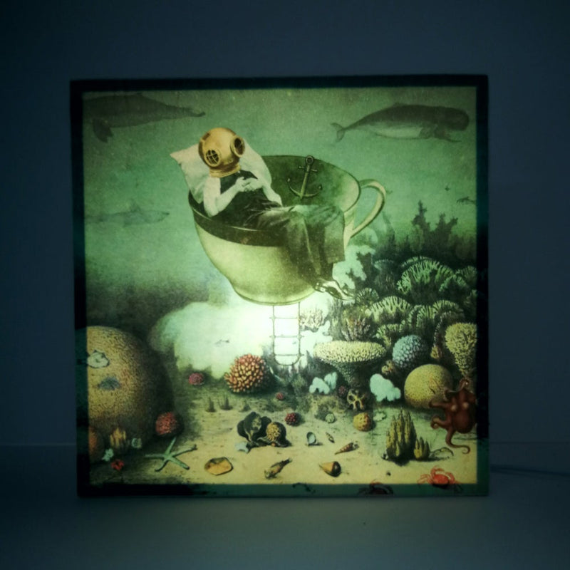 Caja de luz - "Gran Barrera de Coral" de El Lucernario