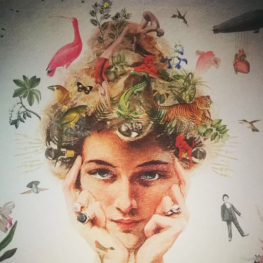 Caja de luz - "It's all in your head" de El Lucernario