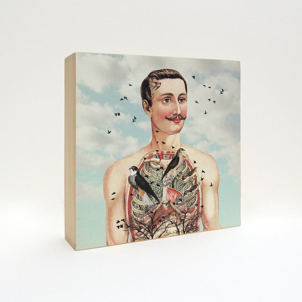Caja de luz - "Atrapa-pájaros" de El Lucernario