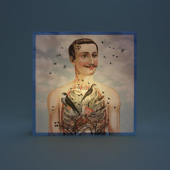 Caja de luz - "Atrapa-pájaros" de El Lucernario