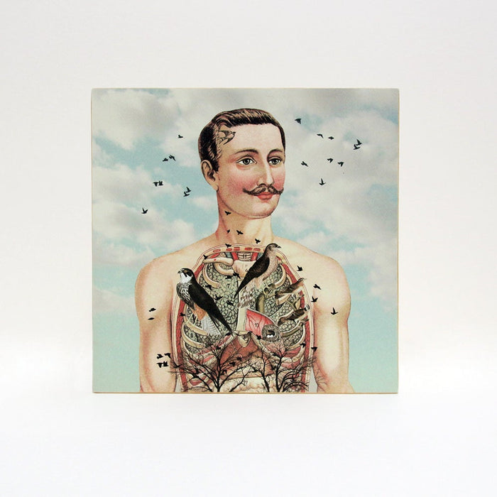 Caja de luz - "Atrapa-pájaros" de El Lucernario