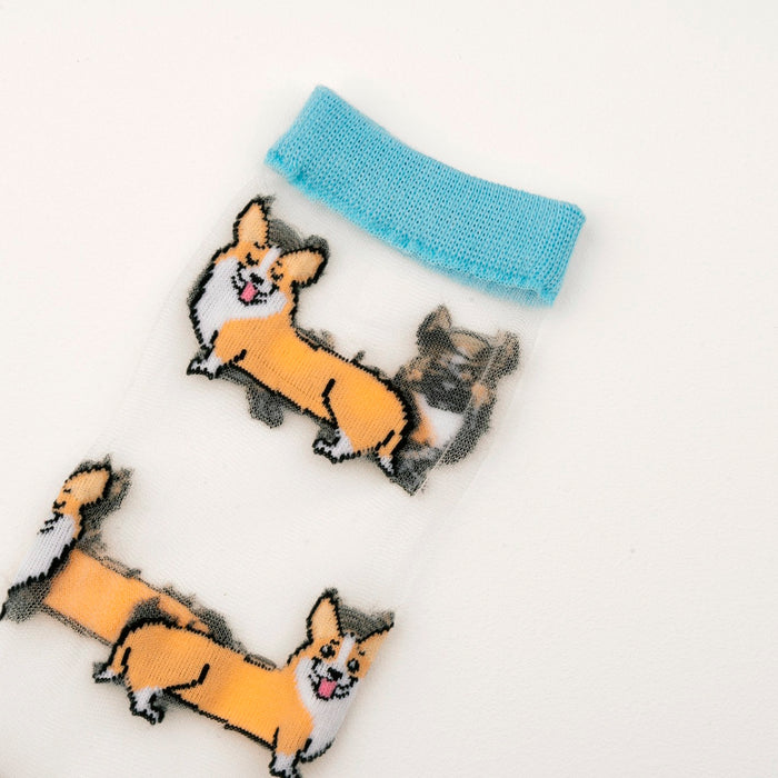 Calcetines de malla transparentes con dibujos de corgis. Calcetines con estampado de perros corgi con el remate, el talón y la punta en azul.