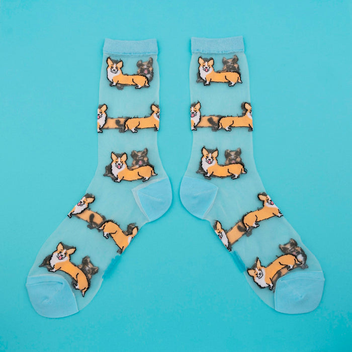 Calcetines de malla transparentes con dibujos de corgis. Calcetines con estampado de perros corgi con el remate, el talón y la punta en azul.