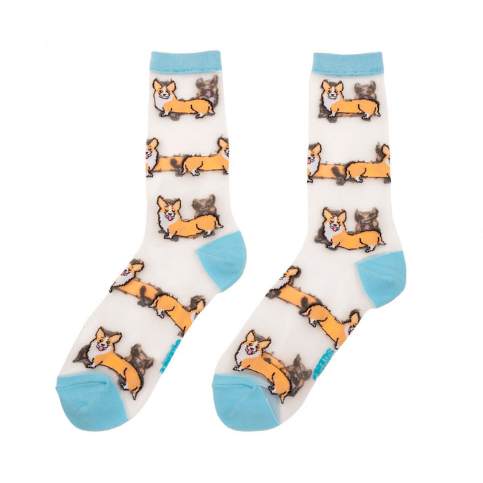 Calcetines de malla transparentes con dibujos de corgis. Calcetines con estampado de perros corgi con el remate, el talón y la punta en azul.