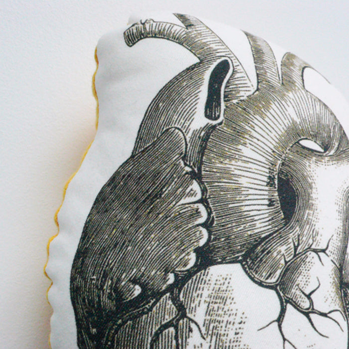 Cojín - Corazón anatómico