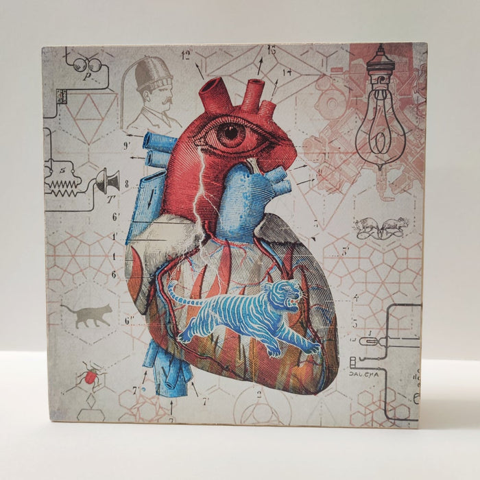 Caja de luz - "Corazón salvaje" de El Lucernario