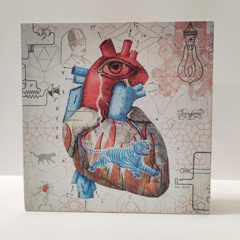 Caja de luz - "Corazón salvaje" de El Lucernario