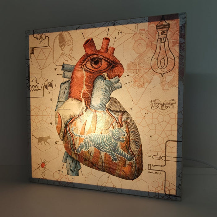 Caja de luz - "Corazón salvaje" de El Lucernario