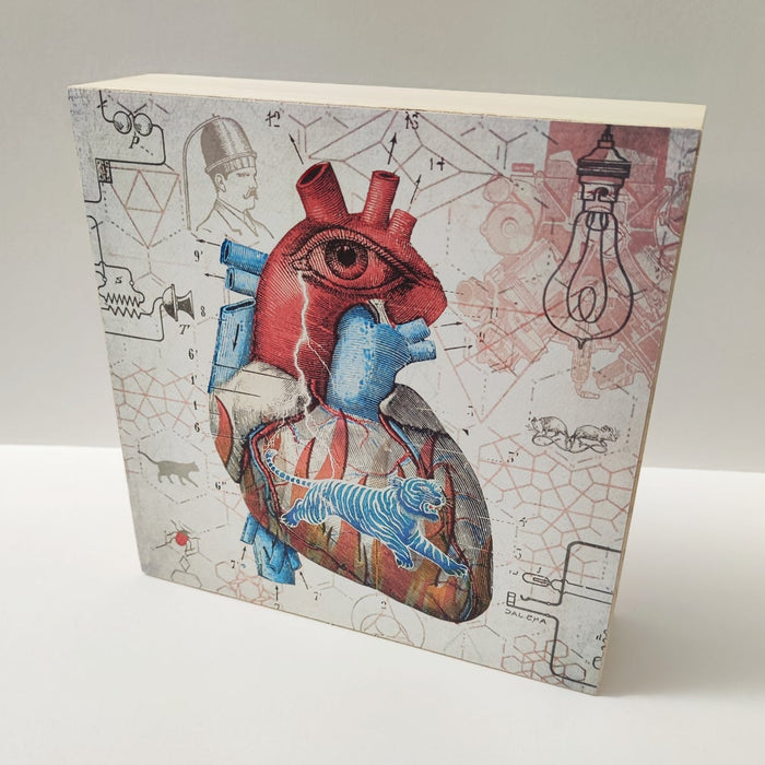 Caja de luz - "Corazón salvaje" de El Lucernario