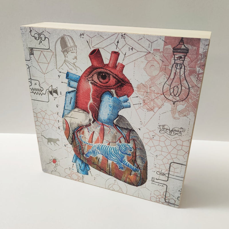 Caja de luz - "Corazón salvaje" de El Lucernario