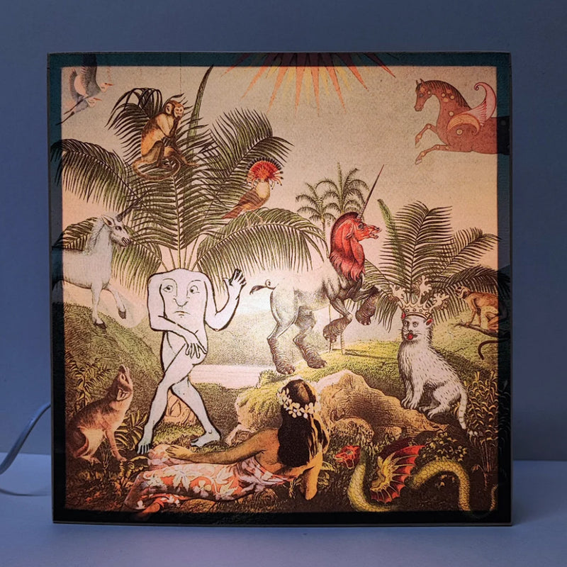 Caja de luz - "El jardín del Edén" de El Lucernario