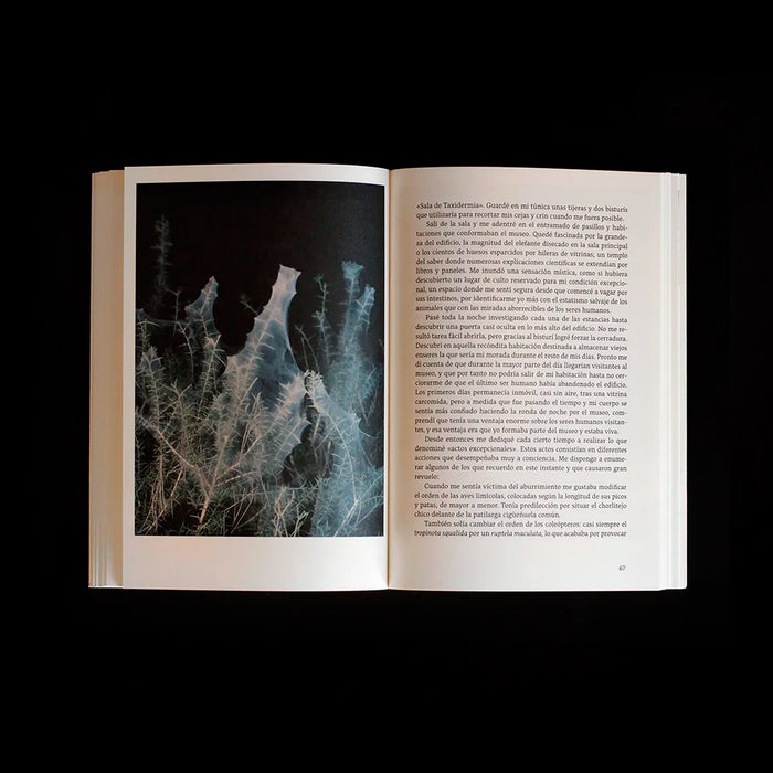 Revista - Esto es un cuerpo #02 Pelo