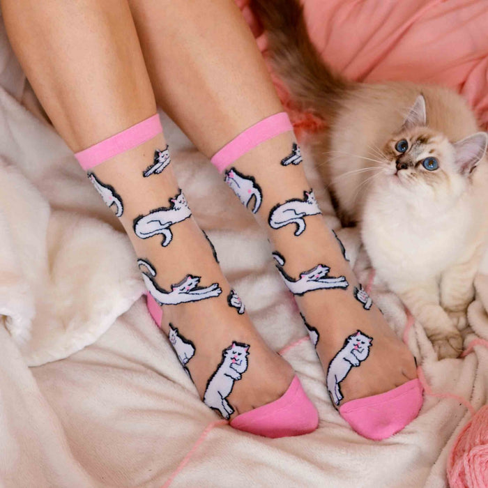 Calcetines transparentes - Gatos blancos 🐈⬛